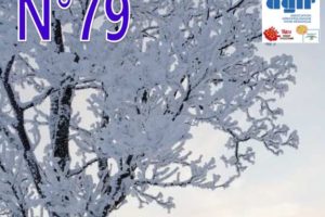 Petit Journal n°79