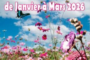 Petit Journal Au Fil Du Temps N°84