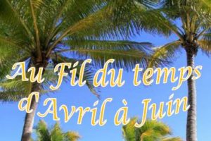 Petit Journal n°69